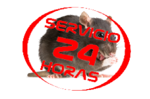 Matar rata 24 horas tenerife - Las palmas