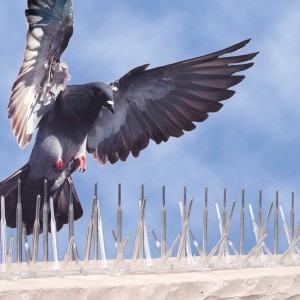 Púas antiposado para palomas