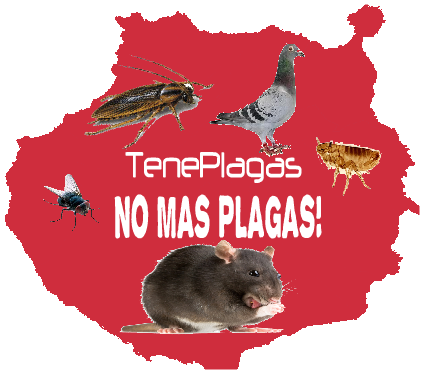 teneplagas gran canaria