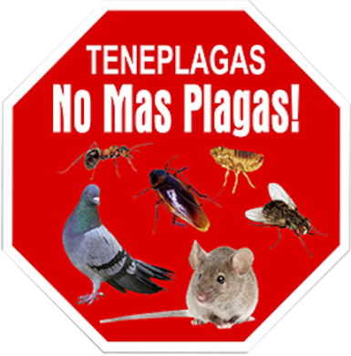 Control de Plagas - Teneplagas