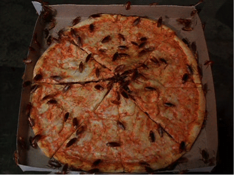 pizza cucarachas