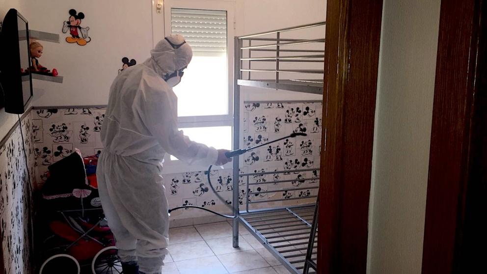 Tratamiento de desratización profesional en hotel por Teneplagas