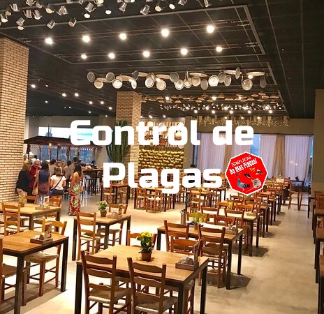 control de plagas para restaurante y bares