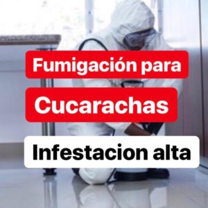 Tratamiento fumigación de cucarachas (infestación alta) 1 Año de Garantía