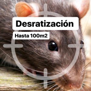 Desratización en vivienda de hasta 100 m2