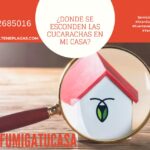 Donde se esconden las cucarachas en mi casa