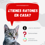 empresa para desratización en españa