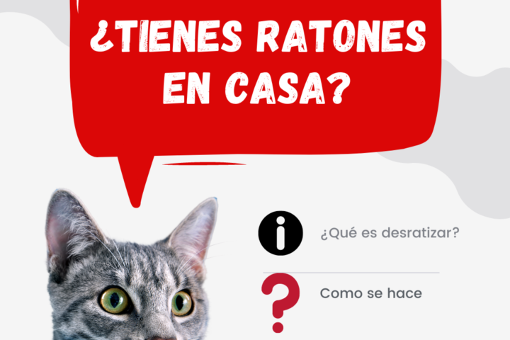 empresa para desratización en españa