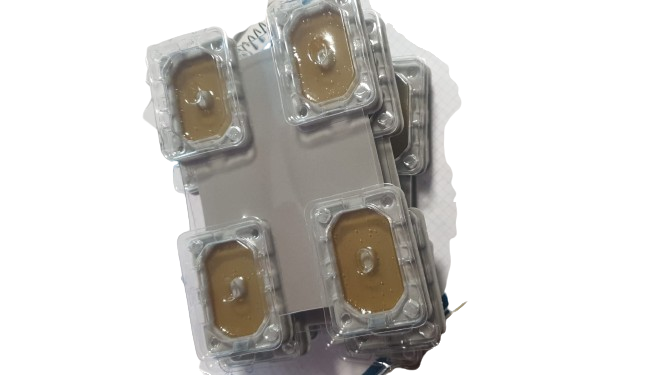 Trampas para chinches de cama - Imagen 2