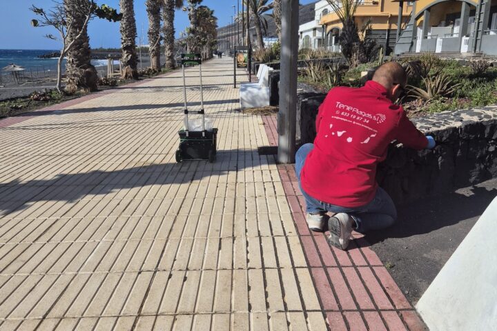 Técnico de Teneplagas realizando desratización profesional y control de ratones de campo.