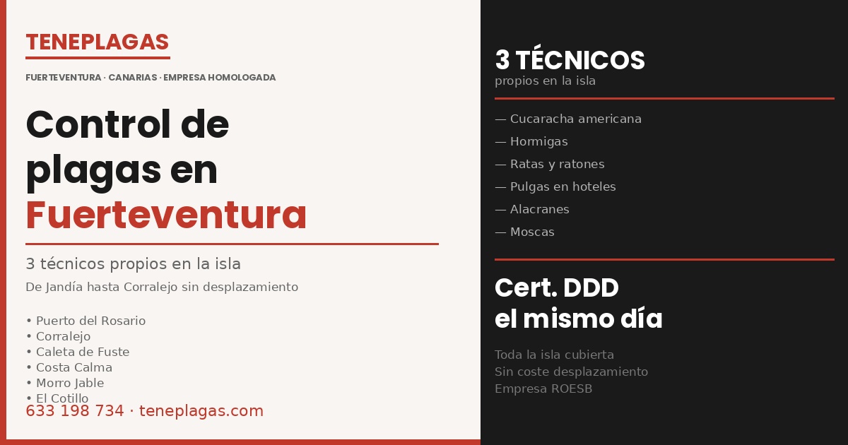 Técnico de Teneplagas realizando control de plagas en Fuerteventura