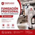 Técnico de Teneplagas realizando fumigación profesional en local comercial de Gran Canaria