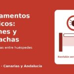 Revisión de chinches y cucarachas en un apartamento turístico entre huéspedes - TenePlagas